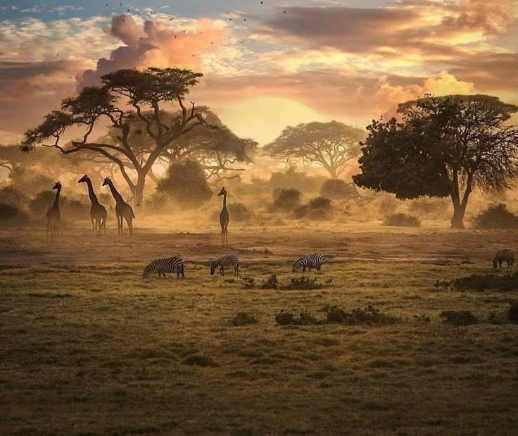 Do’a yang Membingungkan