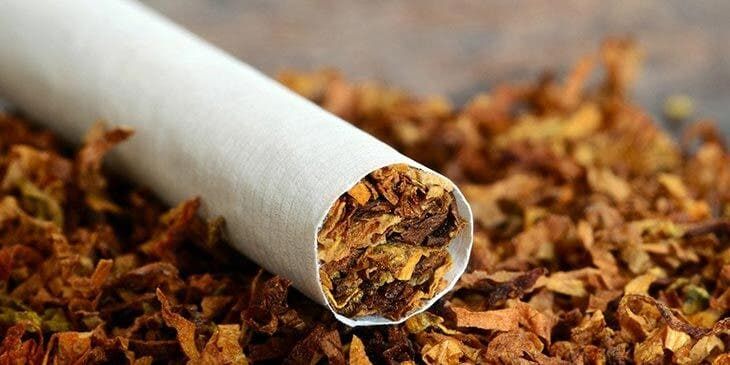 Sejarah Hari Tanpa Tembakau Sedunia dan Awal Mula Rokok: Dari Ritual Kuno hingga Krisis Modern