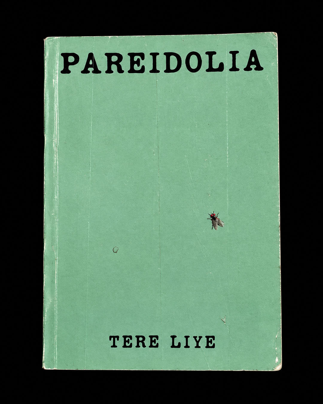 Pareidolia