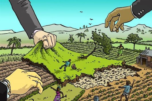 Peluang dan Tantangan Negara Agraris